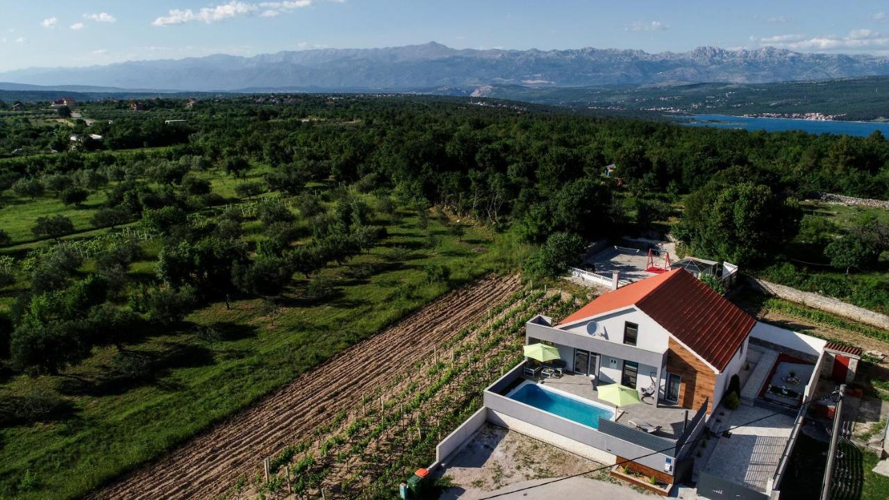 Luxurious Villa Natali Pridraga エクステリア 写真